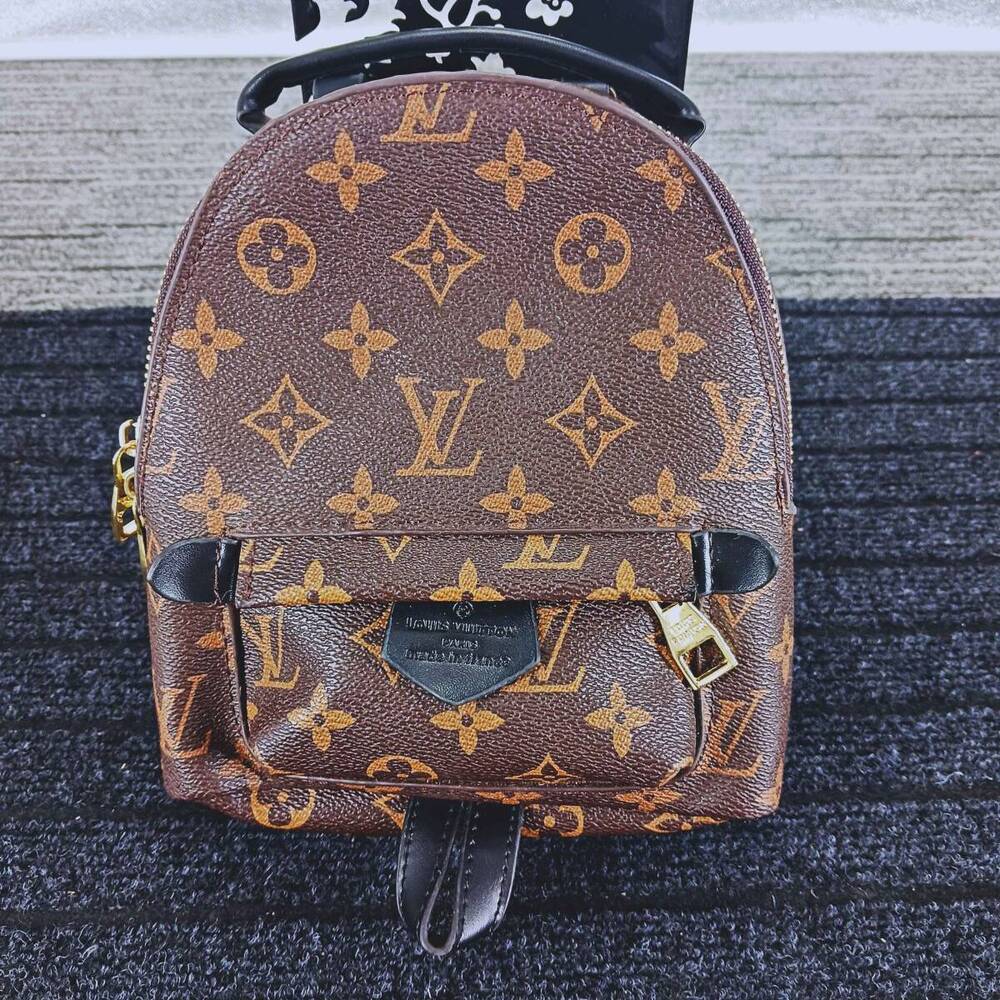 Louis Vuitton Monogram Palm Springs Backpack Bag